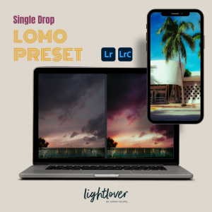 Lightroom Presets LOMO | Single Drop