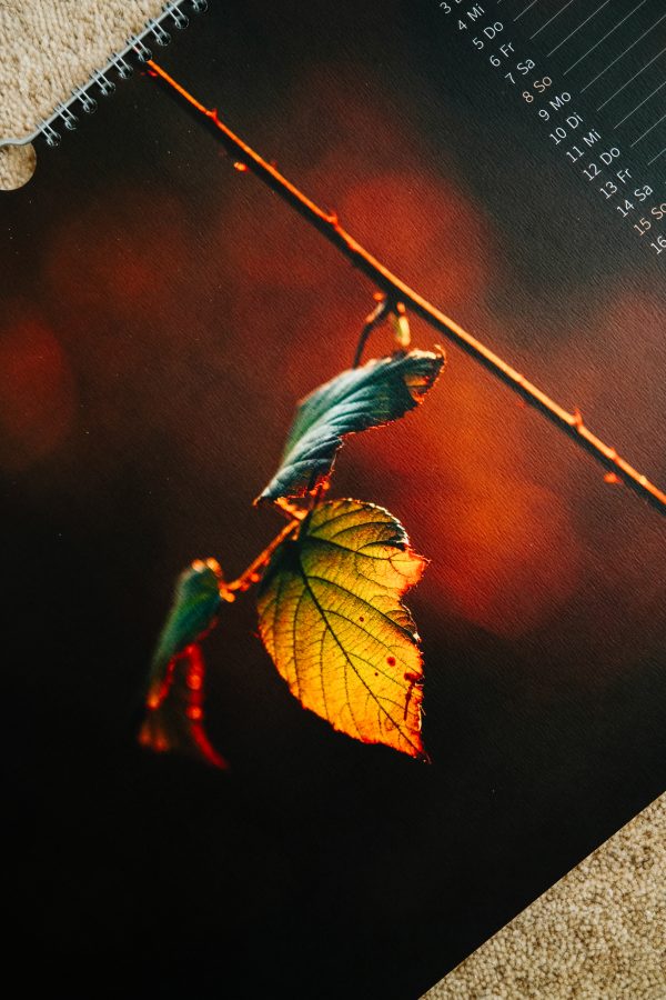 Siegerland Wandkalender | Kunstdruck – Bild 6